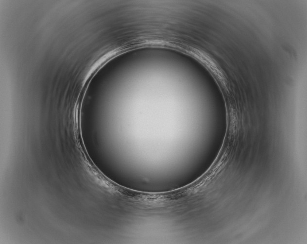 X0000113621198200909181433