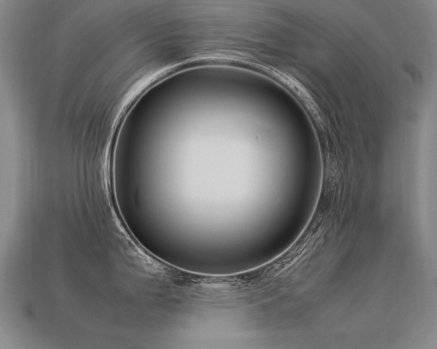 X0000113621199200909181433