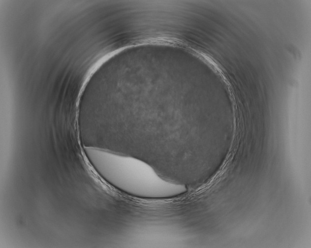 X0000113621200200909181433