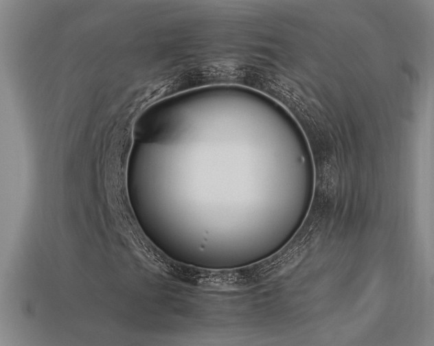 X0000113621201200909181432