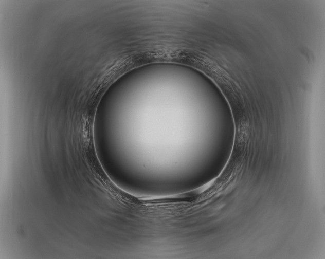 X0000113621202200909181432