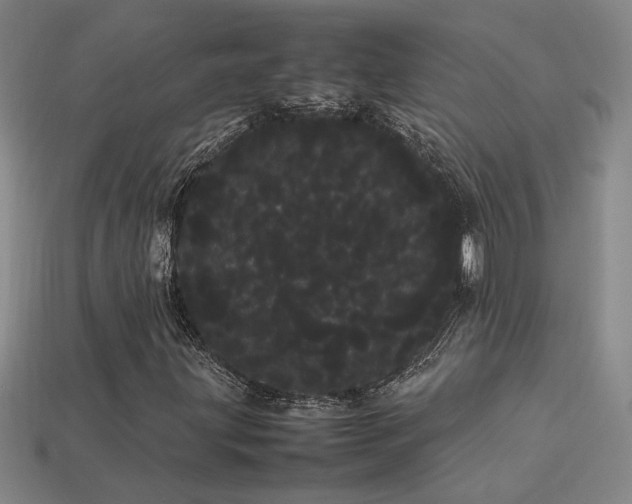 X0000113621203200909181432