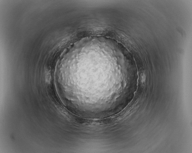 X0000113621204200909181432