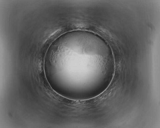 X0000113621205200909181432