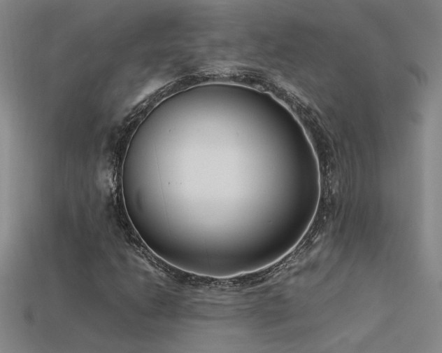 X0000113621206200909181432