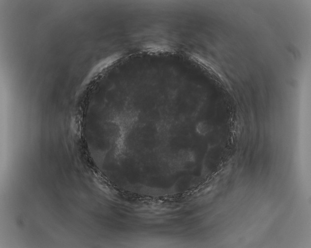 X0000113621207200909181432