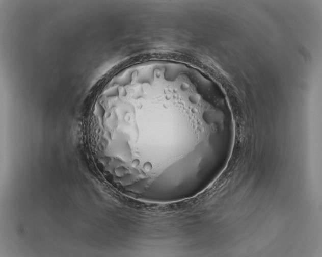 X0000113621208200909181432