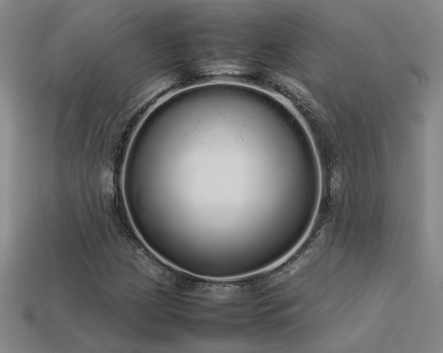 X0000113621209200909181432