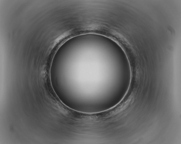 X0000113621210200909181432