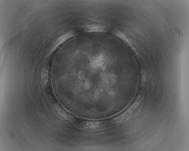 X0000113621211200909181432