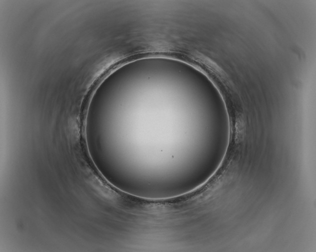 X0000113621212200909181432