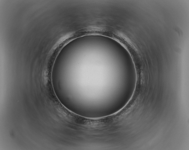 X0000113621213200909181432