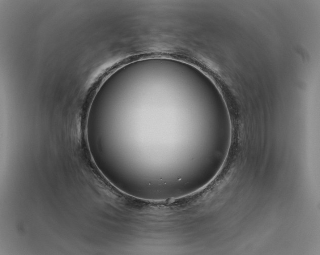 X0000113621214200909181432