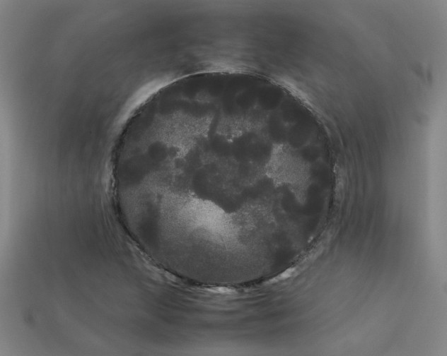 X0000113621215200909181432