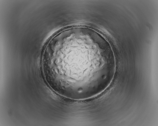 X0000113621216200909181432