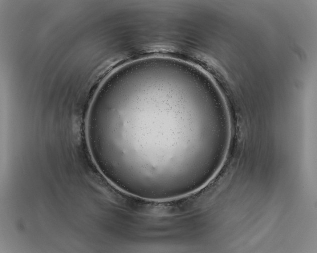 X0000113621217200909181432