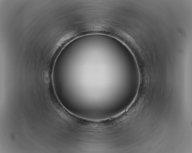 X0000113621218200909181432