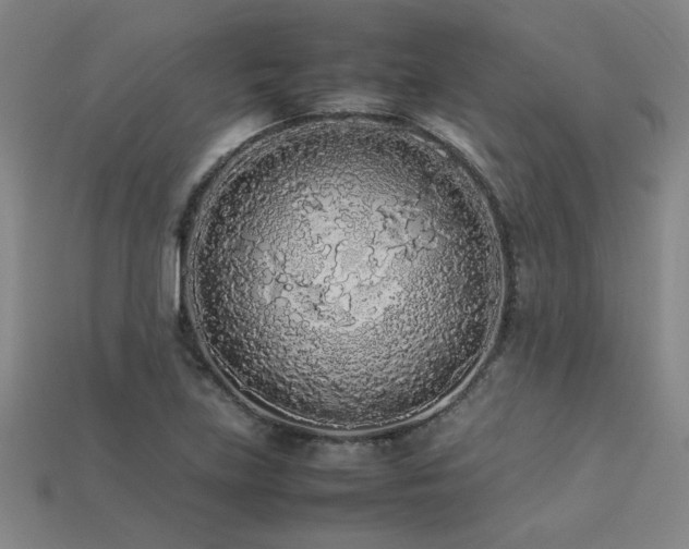 X0000113621219200909181432