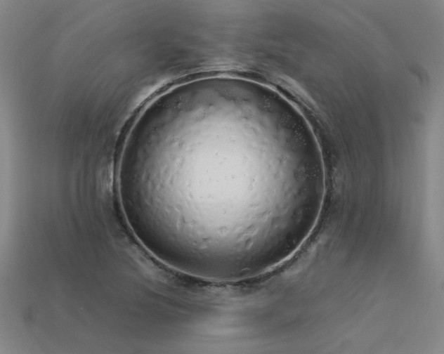 X0000113621220200909181432