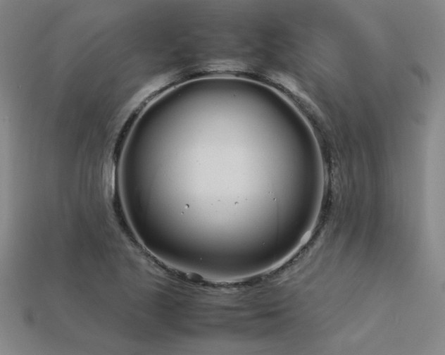 X0000113621221200909181432