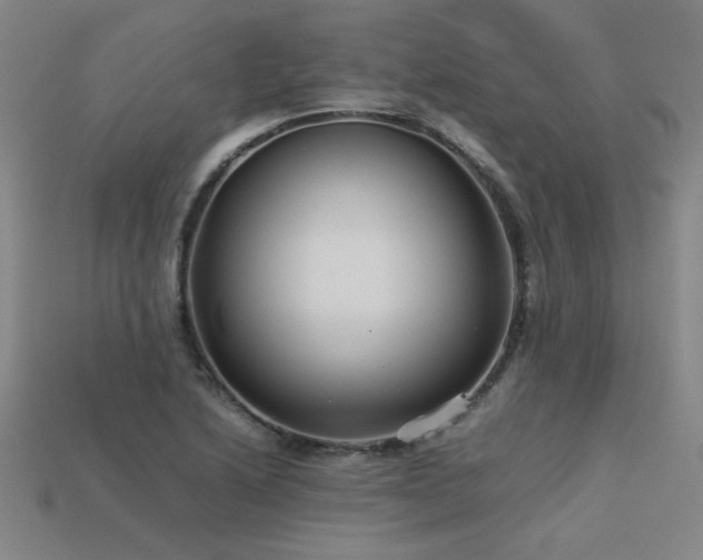 X0000113621222200909181432