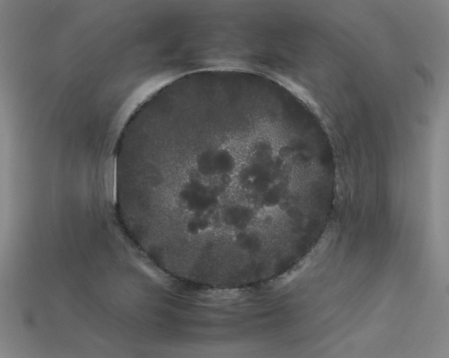 X0000113621223200909181432