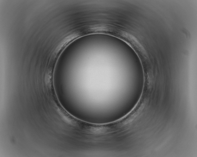 X0000113621225200909181432