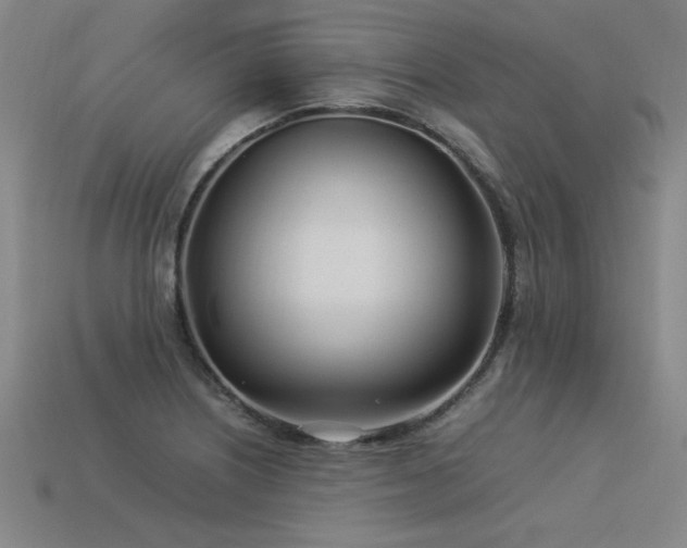 X0000113621226200909181432