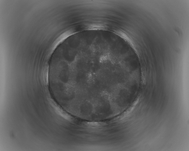 X0000113621227200909181432