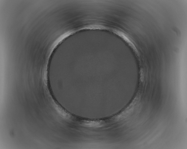 X0000113621229200909181432