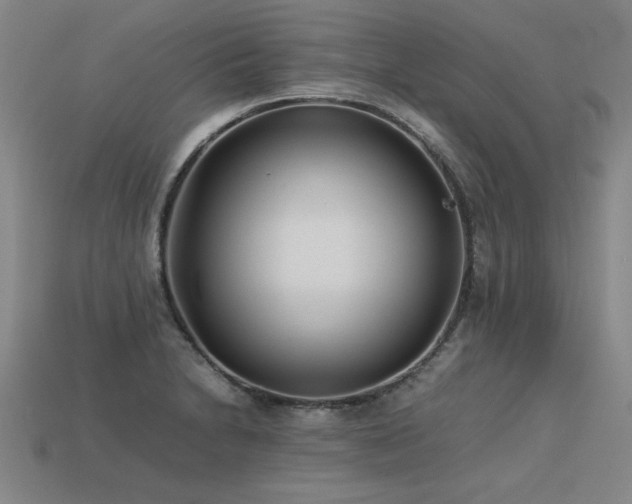 X0000113621230200909181432