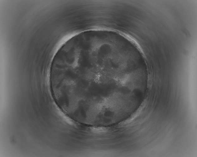 X0000113621231200909181432