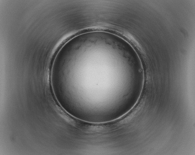 X0000113621232200909181432