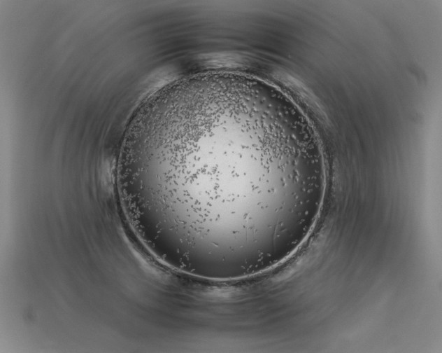 X0000113621233200909181432