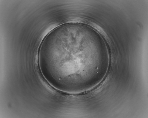 X0000113621234200909181433