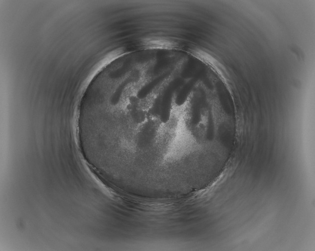 X0000113621235200909181433