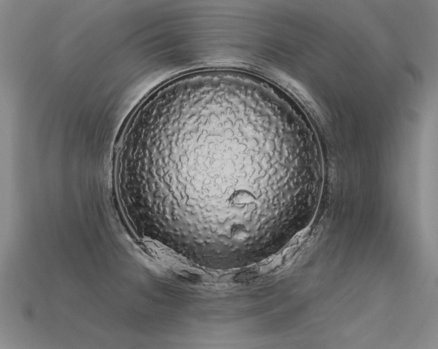 X0000113621236200909181433