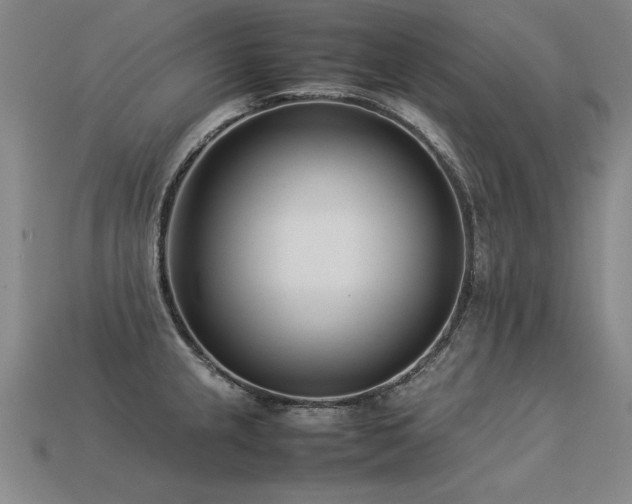 X0000113621237200909181433