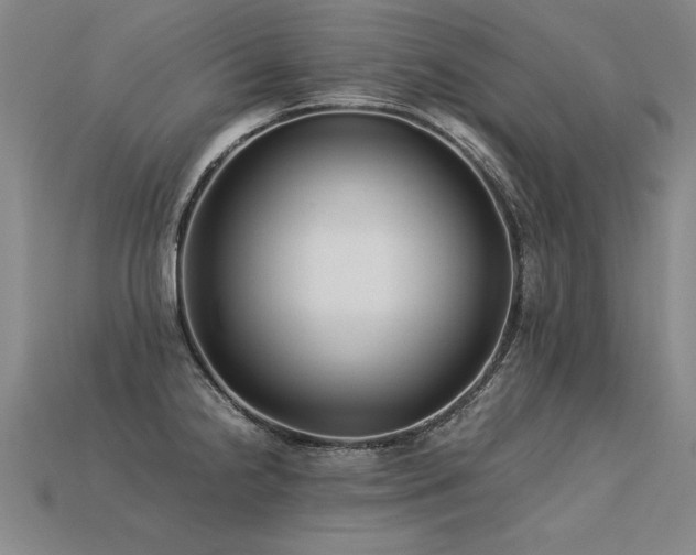 X0000113621238200909181433