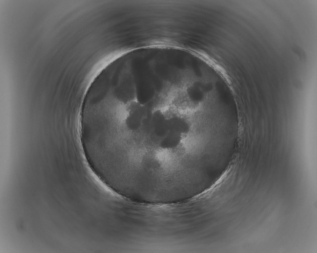 X0000113621239200909181433