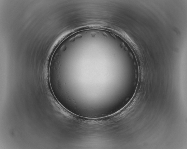 X0000113621240200909181433