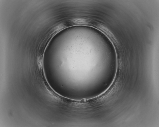 X0000113621241200909181433