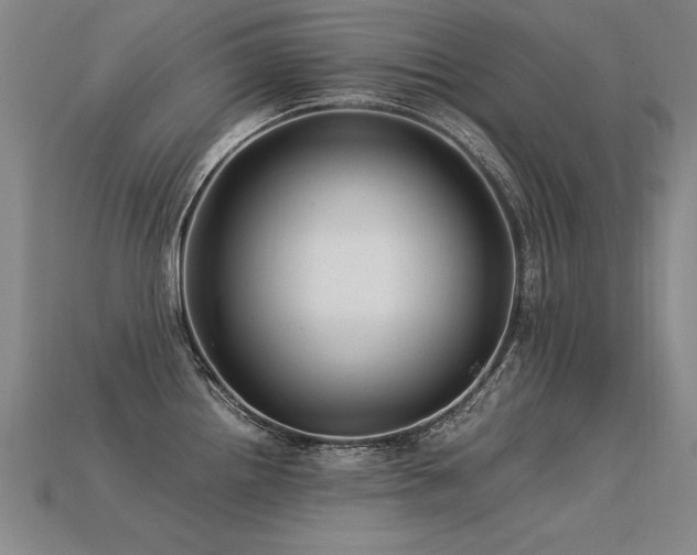 X0000113621242200909181433