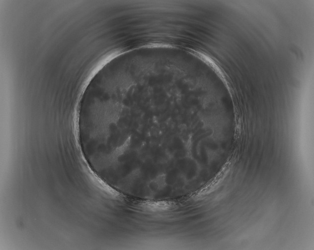 X0000113621243200909181433