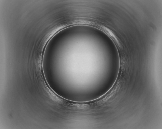 X0000113621244200909181433