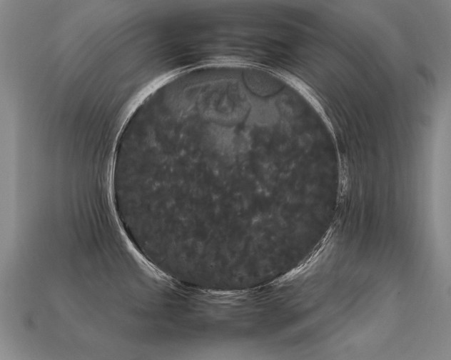 X0000113621245200909181433