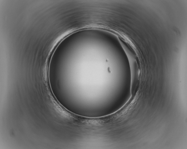 X0000113621246200909181433