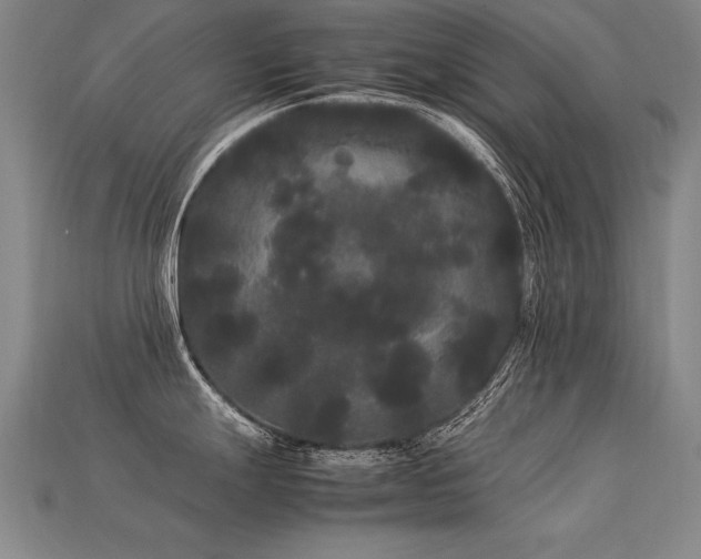 X0000113621247200909181433