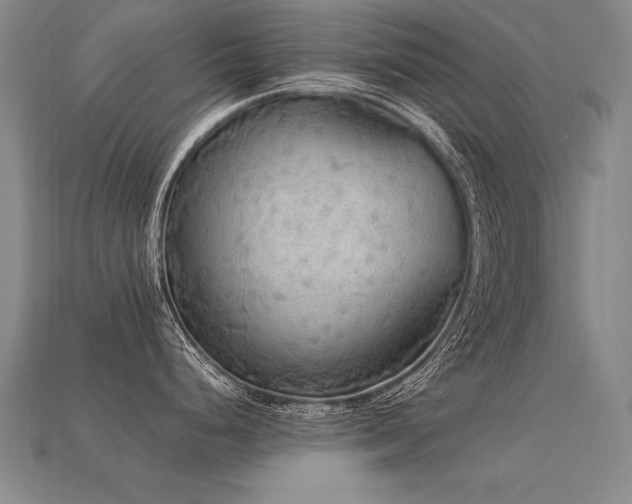 X0000113621248200909181433