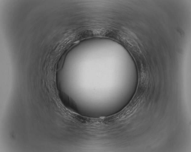 X0000113621249200909181432